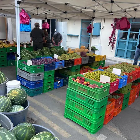 Alex 203 ラルナカ