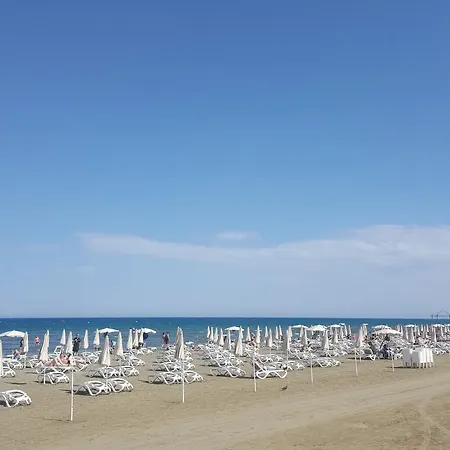 Apartman Alex 203