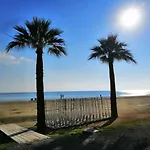 Alex 203 Larnaca