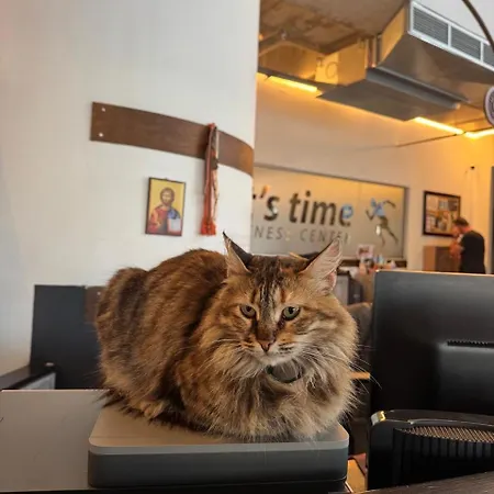 Alex 203 Apartamento *