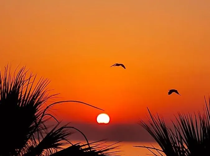 Alex 203 Apartamento *