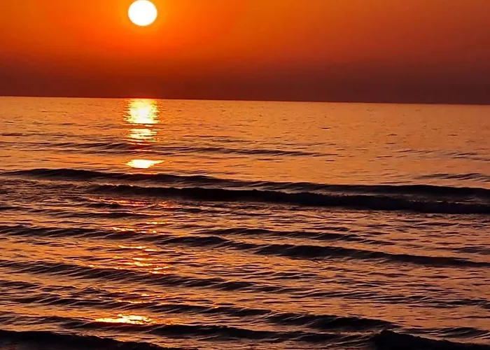 Apartamento Alex 203