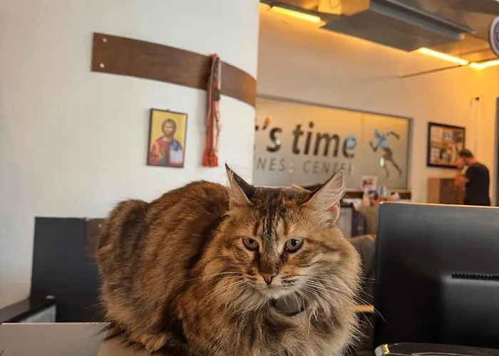 Alex 203 Apartamento *