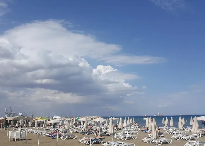 Alex 203 Apartamento