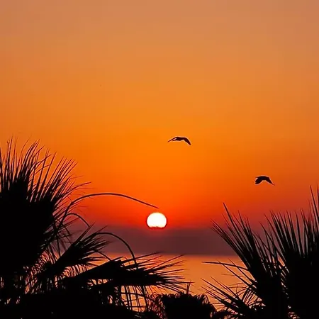 Alex 203 아파트 *